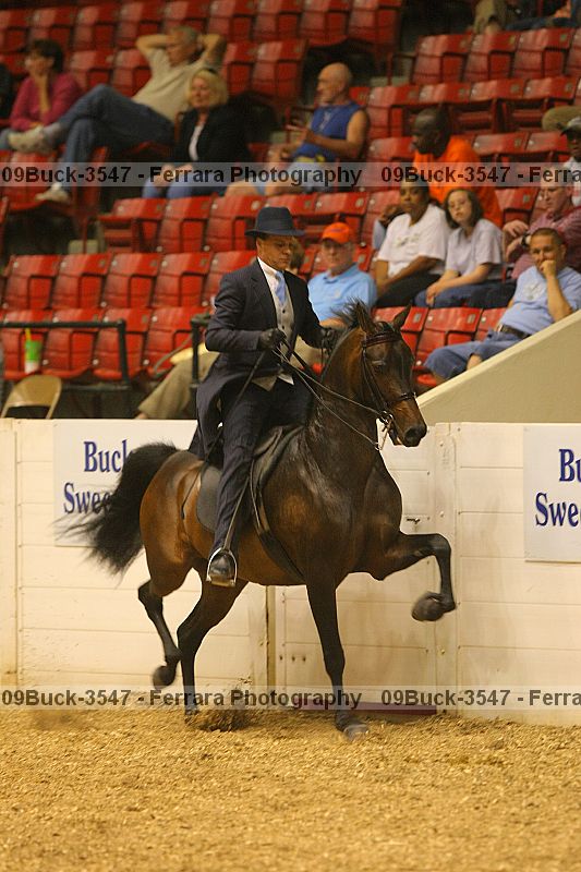 Proof 09buck-3547