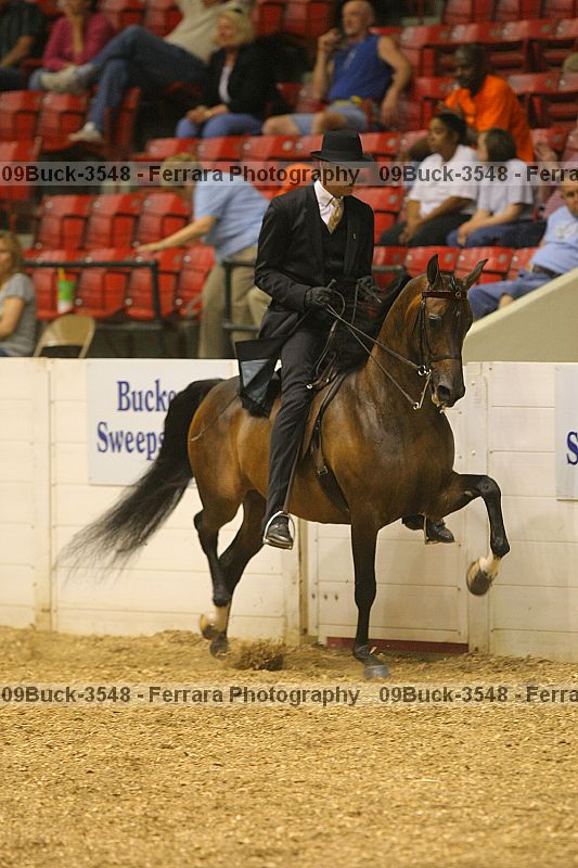 Proof 09buck-3548