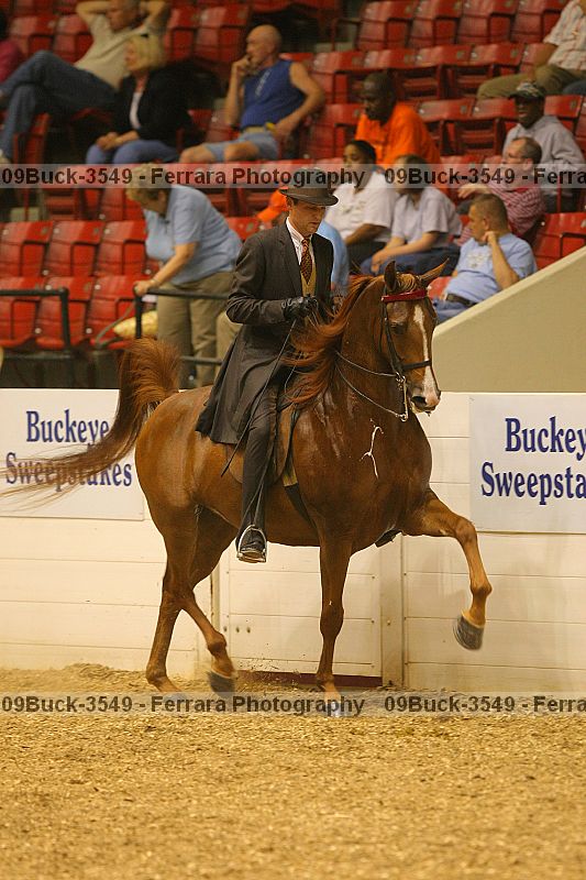 Proof 09buck-3549