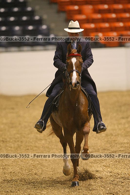 Proof 09buck-3552