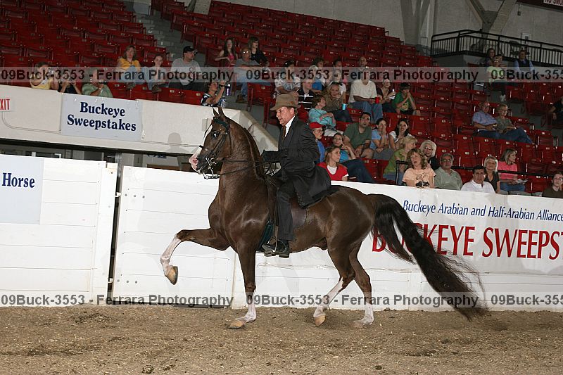 Proof 09buck-3553
