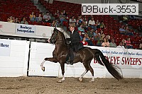 09buck-3553 proof