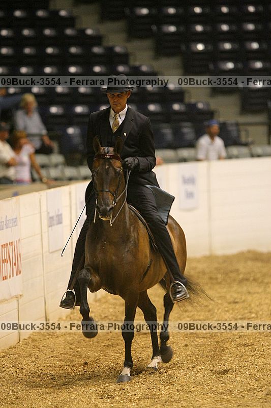 Proof 09buck-3554