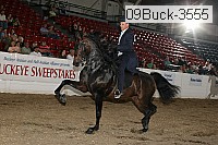 09buck-3555 proof
