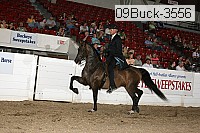 09buck-3556 proof