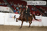 09buck-3559 proof