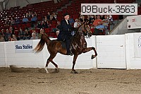 09buck-3563 proof