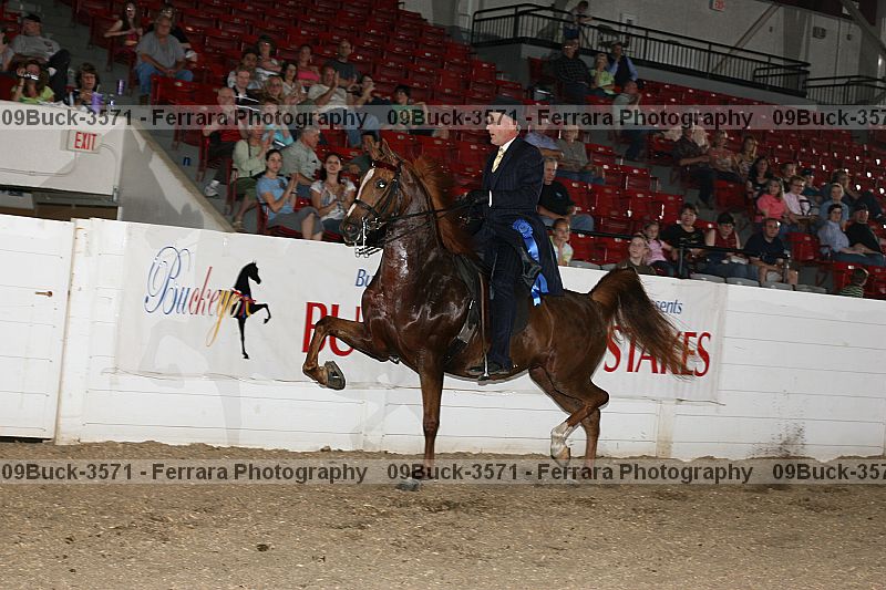 Proof 09buck-3571