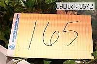 09buck-3572 proof