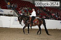 09buck-3574 proof