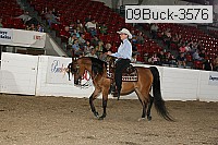 09buck-3576 proof