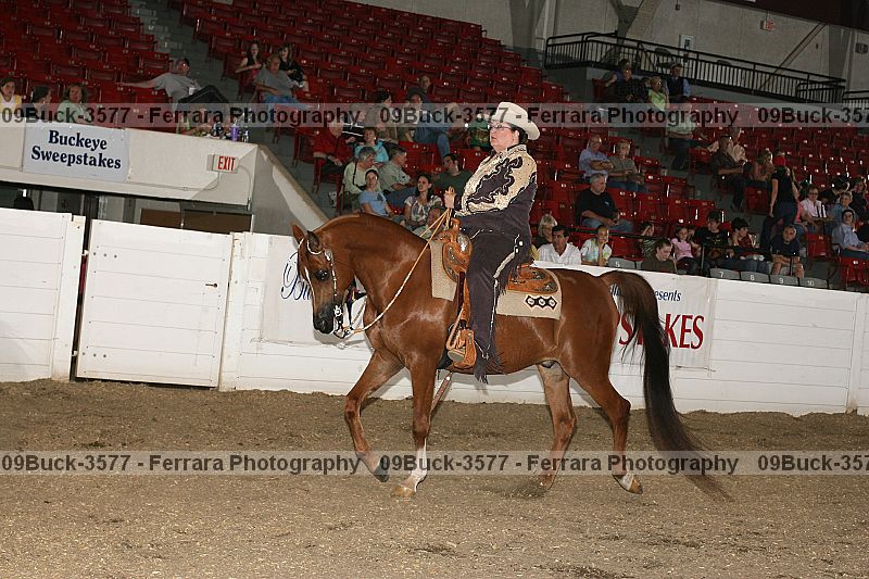Proof 09buck-3577
