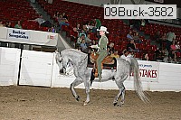09buck-3582 proof