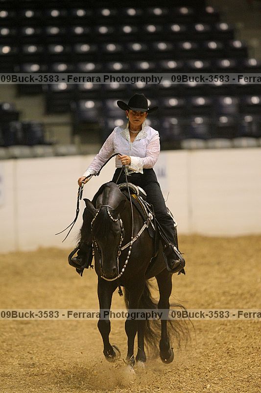 Proof 09buck-3583