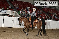 09buck-3586 proof