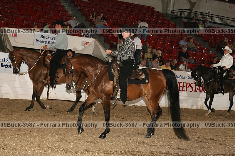 Proof 09buck-3587