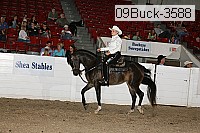 09buck-3588 proof