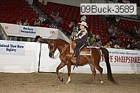 09buck-3589 proof