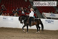 09buck-3591 proof