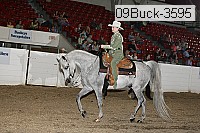 09buck-3595 proof
