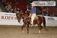 09buck-3597 proof