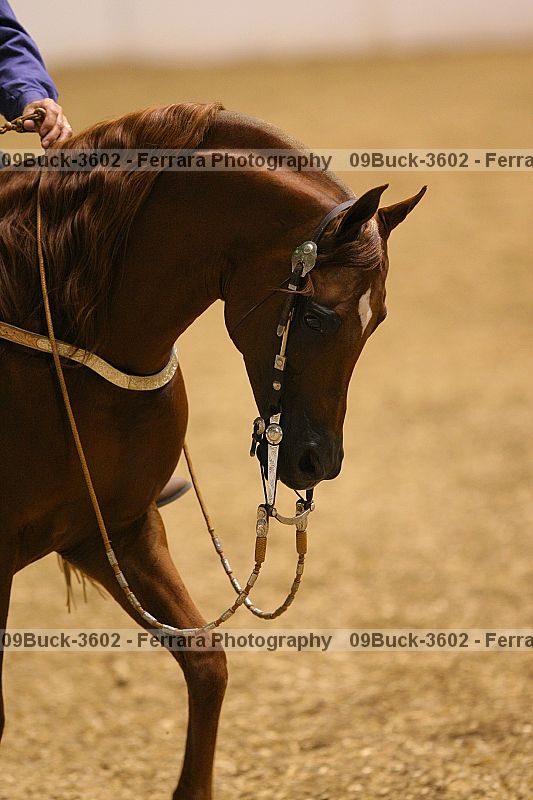 Proof 09buck-3602