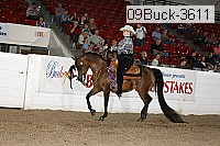 09buck-3611 proof