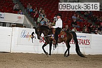 09buck-3616 proof