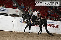 09buck-3617 proof
