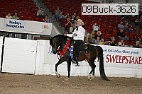 09buck-3626 proof