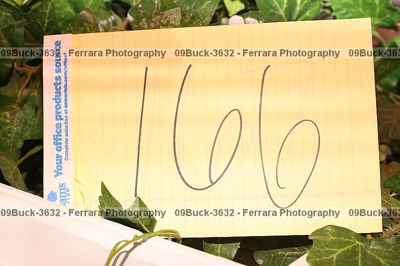 Proof 09buck-3632