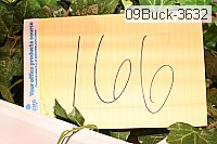 09buck-3632 proof