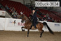 09buck-3634 proof