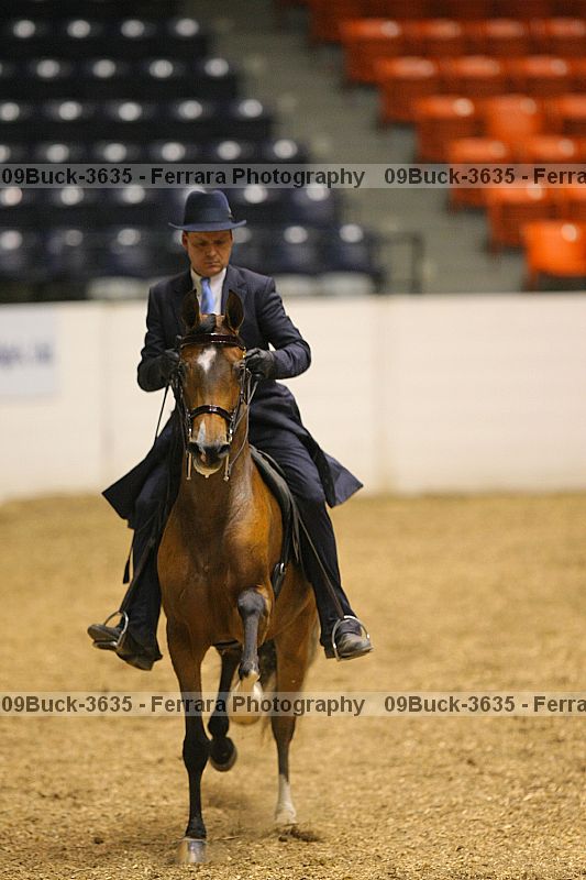 Proof 09buck-3635