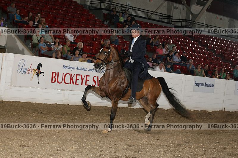 Proof 09buck-3636
