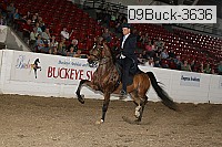 09buck-3636 proof