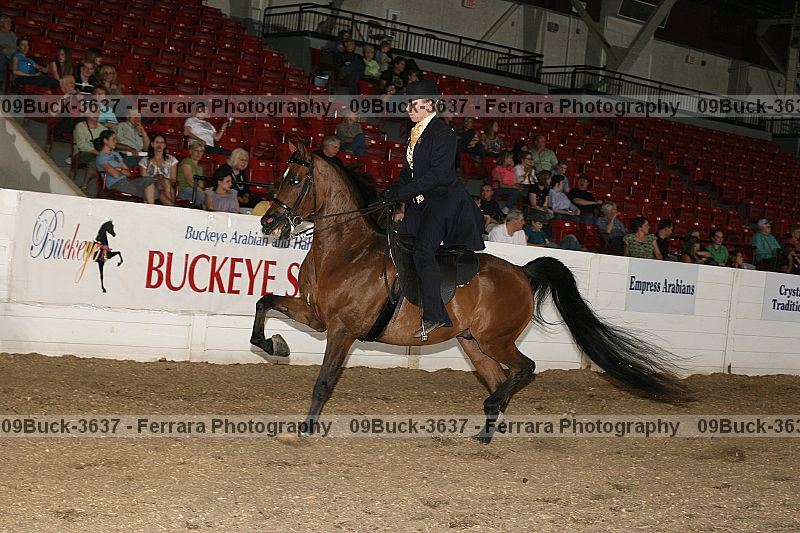 Proof 09buck-3637