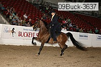 09buck-3637 proof