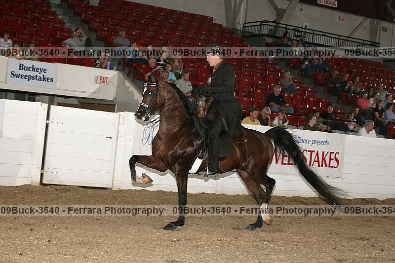 Proof 09buck-3640