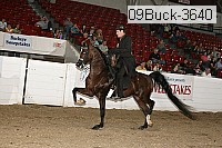 09buck-3640 proof