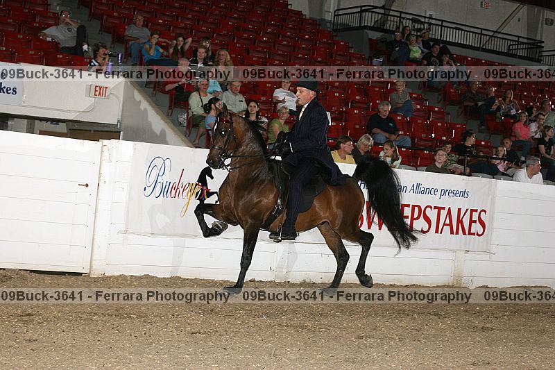 Proof 09buck-3641