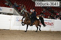 09buck-3641 proof