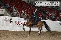 09buck-3642 proof