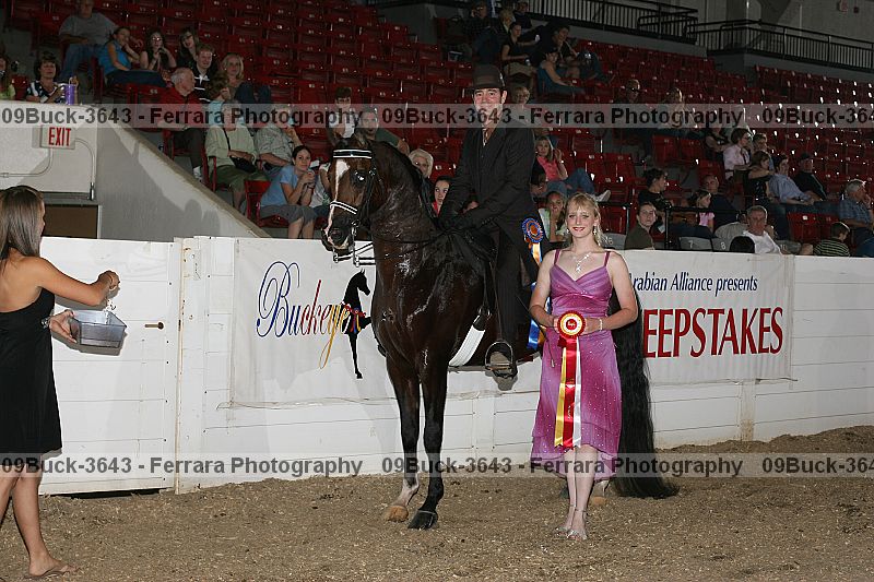 Proof 09buck-3643