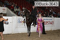 09buck-3643 proof