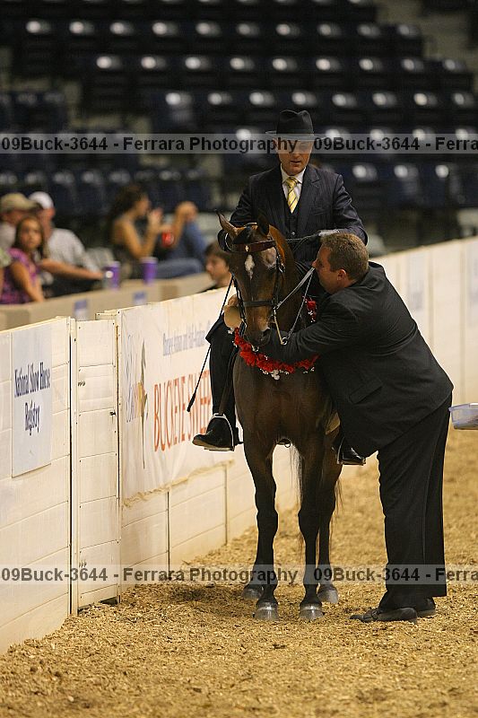 Proof 09buck-3644