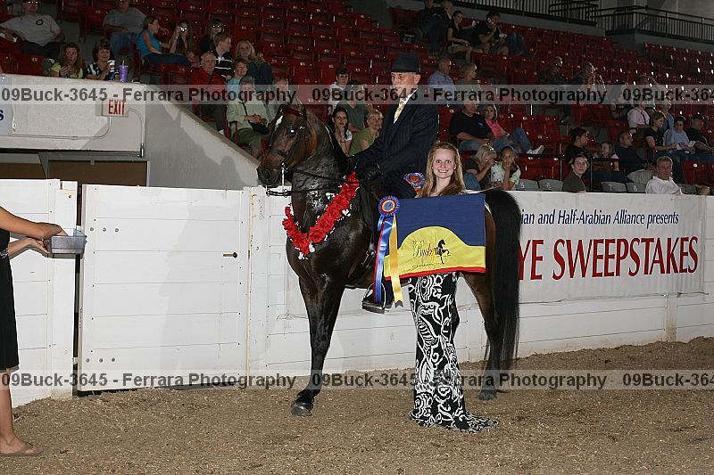 Proof 09buck-3645