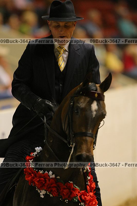 Proof 09buck-3647