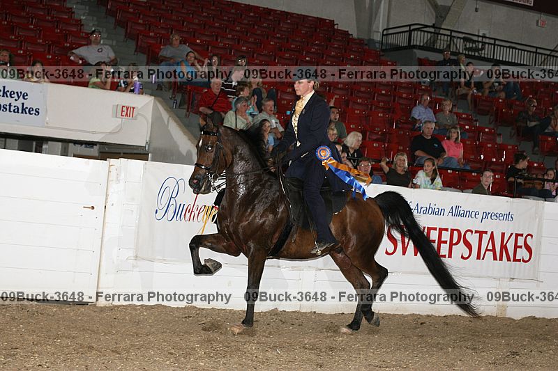 Proof 09buck-3648