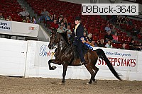 09buck-3648 proof